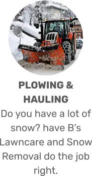 PLOWING & HAULING Do you have a lot of snow? have B’s Lawncare and Snow Removal do the job right.